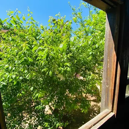 In Oludeniz * 페티예