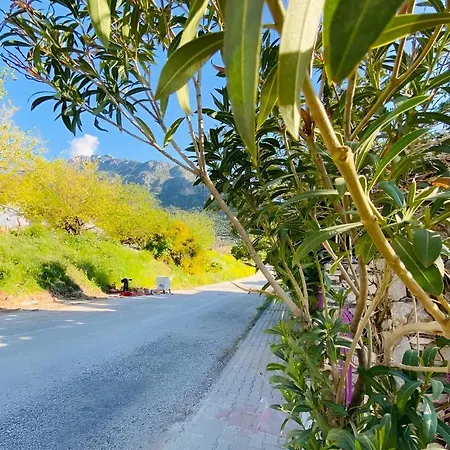 شقة فندقية In Oludeniz